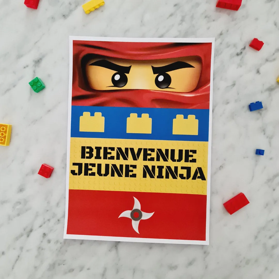 LEGO NINJAGO Personnages PERSONNALISÉS Carte d'Anniversaire 3 4 5 6 7 8  Fille Ga